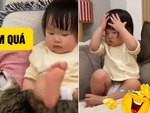Chú mèo nổi cáu với cô chủ nhỏ