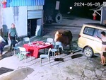 Nhóm nhậu khuya bỏ chạy tán loạn vì bò rượt