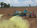 Chàng nông dân lái máy cày phu thuốc trừ cỏ