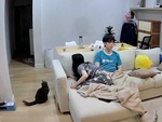 Cô gái bị mèo hù ngã ngửa