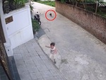 Bé gái bỏ chạy trối chết khi bị chó rượt