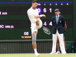 Trận đấu của Djokovic gián đoạn vì cổ động viên mừng tuyển Anh ở Euro 2024