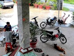 Nhóm bạn ngồi nhậu cười như được mùa khi thấy chàng trai ngã chổng vó