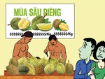 Vui buồn mùa sầu riêng