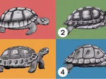 Quiz: Khám phá mức độ kiên nhẫn của bạn