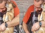 Chú chó run bần bật khi sen cắt móng chân