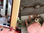 Chú chó thông minh biết lấy chìa khóa mở cửa cho cô chủ