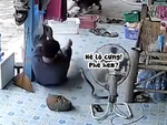 Thanh niên hoảng hồn vì đang ngủ thì có 'bé Na' ghé thăm