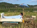 Máy cày ruộng dành cho người lười