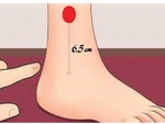 Trẻ mãi không già, điệp vụ bất khả thi?