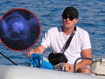 Leonardo DiCaprio bị sứa đốt khi đang hẹn hò