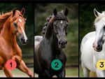 Quiz: Khám phá mức độ mạnh mẽ trong con người bạn