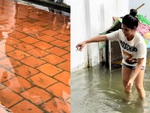 Gia đình được bữa ăn ngon khi thấy cá bơi từng đàn trong sân
