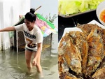 Video hài nhất tuần qua: Cả nhà được bữa ăn ngon khi cá bơi đầy sân