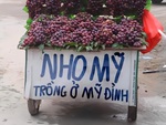 Ảnh vui 24-9: Nho Mỹ nhưng được trồng ở... Mỹ Đình