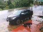 Chàng trai ngã sấp ngửa khi nền gạch trơn