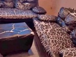 Ảnh vui 9-9: Khuyến mãi bộ sofa họa tiết da beo