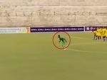 Cầu thủ lấy đà từ giữa sân để sút penalty