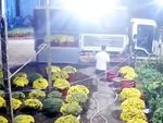 Lái xe tải đi trộm hoa Tết bị gia chủ cho ăn đủ xô chậu