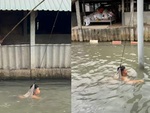 Cụ ông dạy cháu tập bơi kiểu cần thủ