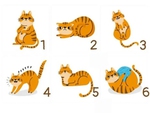 Quiz: Bạn năng động hay là người hiếu kỳ, ham học hỏi?
