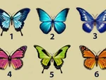 Quiz: Bạn năng động, lạc quan hay là người có tâm hồn sâu sắc?