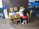 Con gái ăn vụng hết cả đĩa thịt vì bố mẹ nấu quá ngon