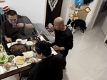 Chú chó có màn đáp trả khiến ông chủ ngã vào lòng đất