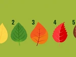 Quiz: Bạn có thể đạt được thành công ở lĩnh vực nào?