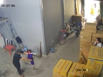Hai cô gái hú hồn hú vía khi xem chàng trai trổ tài bắt rắn