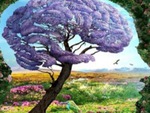 Quiz: Bạn luôn nỗ lực hướng tới sự hoàn hảo hay là người yêu tự do?