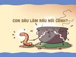 Bếp ăn bán trú xưa và nay: Con sâu làm rầu nồi canh?