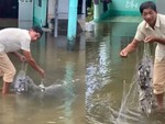 Gia chủ trúng đậm mẻ cá trước hiên nhà