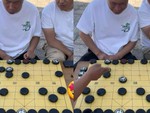 Cờ tướng úp phiên bản promax