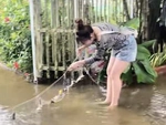 Cô gái ở miền Tây giăng lưới trong sân được mẻ cá to mùa nước nổi