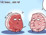 Tâm sự thịt bò - thịt trâu, nghe mà tức