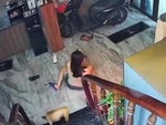 Sáng sớm làm một pha tỉnh ngủ luôn, khôn nhất là cậu vàng đi sau
