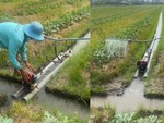 Nông dân miền Tây sáng chế máy tưới nước tự động cho dưa hấu