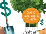 Chất xơ trong kẹo và chất xơ trong rau củ