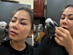 Chú vẹt thông minh hiểu lời cô chủ nói