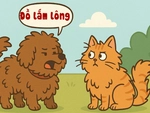 Câu thành ngữ quen thuộc này là gì? (P15)