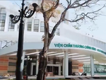 Bệnh viện Quân y 175