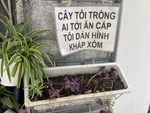Ảnh vui 16-5: Ăn cây nào rào cây ấy
