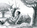 Thử tài tinh mắt: Tìm con ngựa trong 5 giây