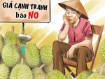 Đừng để sầu riêng thành... sầu chung