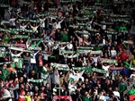 CLB Elche cấm fan ăn hạt hướng dương trên sân vì sợ… chuột