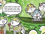 'Lễ trưởng thành' trên những tán cây