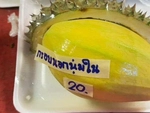 Ảnh vui 14-6: Nhìn rất sầu riêng, nhưng lại là xoài!