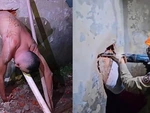 Vượt ngục nhưng không thể thoát, tù nhân phải gọi quản giáo tới cứu