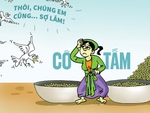Cô Tấm ra ngoài đời thực